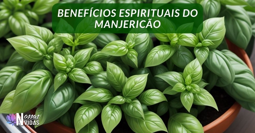 Descubra os Mistérios Espirituais do Manjericão: Conexões Além do Plano Terreno 🌿✨