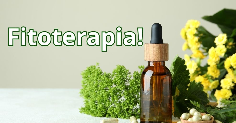 Fitoterapia